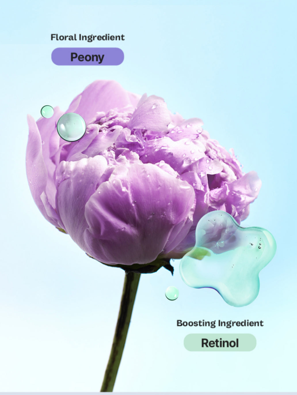 Peony Tinol Pore Ampoule 50ml Mimo by Mamonde
